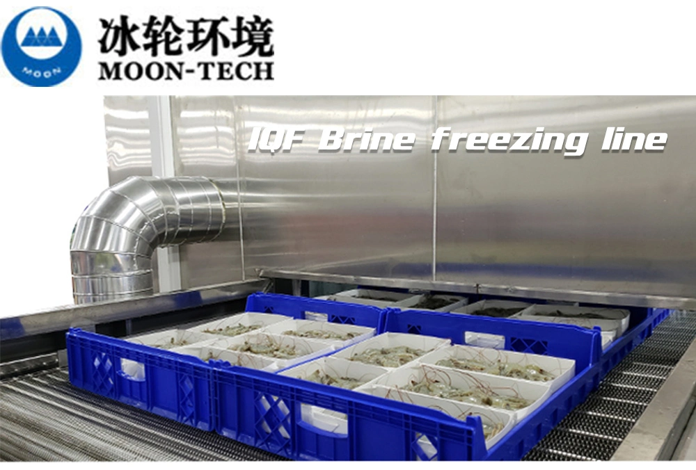 Supermarket Restaurant Big Size Refrigeration Equipment Walk in Freezer Storage Cold Room